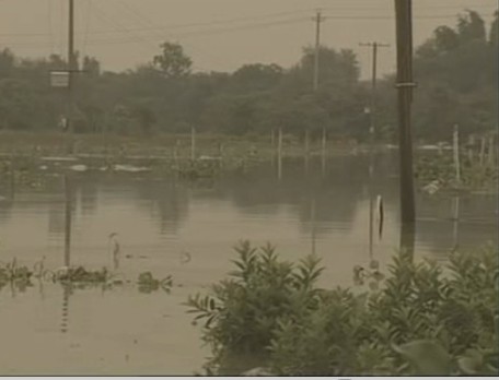 ���r������������