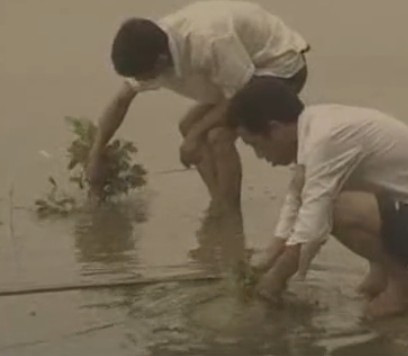 ���r������������