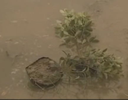 ���r������������