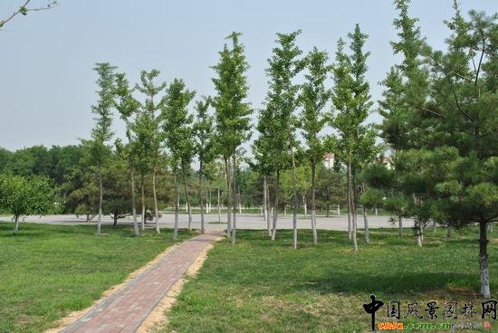 ��ɽ����չ�[�^����