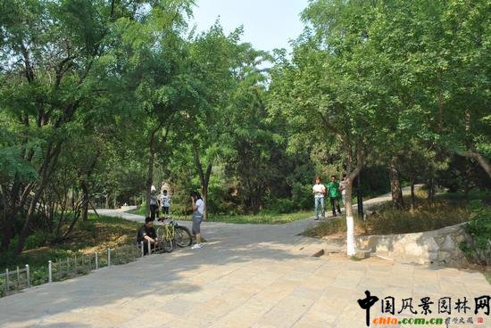 ��ɽ�P��ɽ���@����