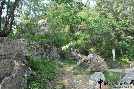 ��ɽ�P��ɽ���@����