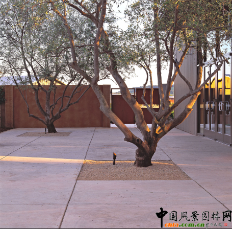 Cornerstone���@�����ؾ��^�OӋ(�M�D)