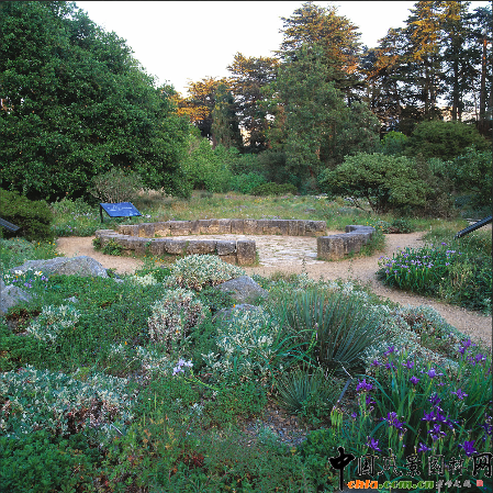 阿瑟L·孟席斯加州鄉(xiāng)土植物園(組圖)