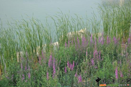 ��ɽ�Эh��ˮϵ�@�־��^