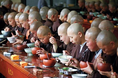 ��ȫ��zӰ����14��:������v��֮���ĔzӰ