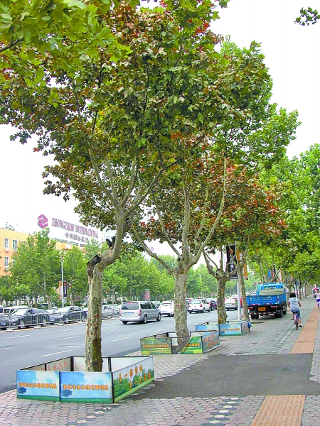 ���ݣ�����38�𚧾G�� �H�����˃���