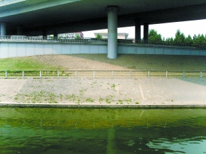 �o�¾G�����߶d��¶�S��