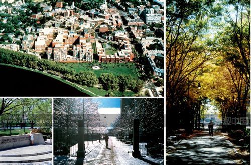 點此在新窗口瀏覽圖片