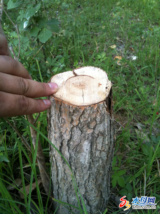 ���_���٘�ľ��Ī������¾�� ���˿���o�˹�