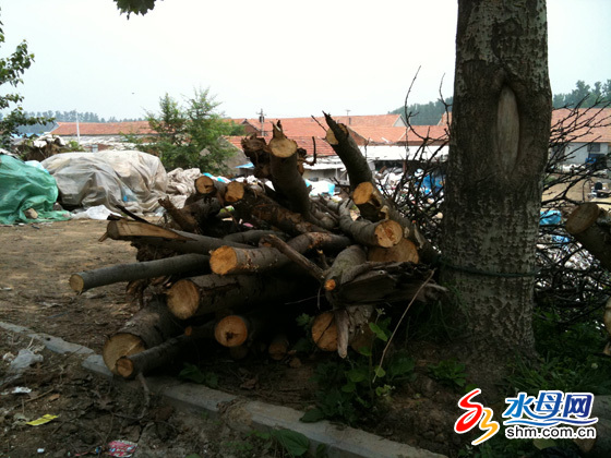 ���_���٘�ľ��Ī������¾�� ���˿���o�˹�