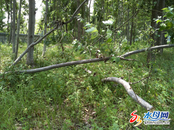 ���_���٘�ľ��Ī������¾�� ���˿���o�˹�