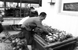 �L����Ҋ��ֲ�G��Ҋ�p�廨 �����辰�b�c(di��n)����