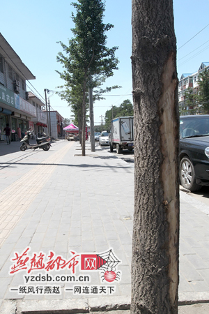 ��ɽ��һҹ�g���ٿ��y�Ә�K�⡰���ݡ�