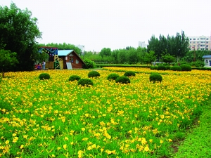 �L�����޸����������ɹ� �������ޡ�����`���ǽ���