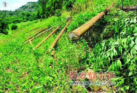 �V�ݣ�����17��δ�ӹ� �r��N��ȫ�������D��