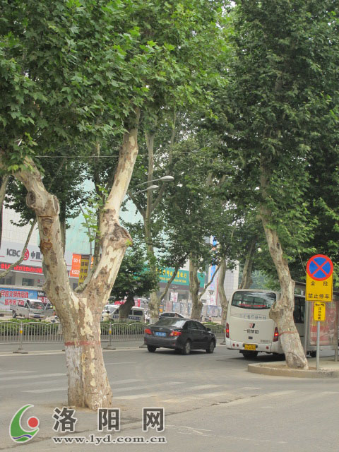 �P(gu��n)ע�����е��䡰���������} ��ˮ��ʯ���g���L(zh��ng)