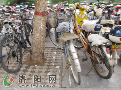 �P(gu��n)ע�����е��䡰���������} ��ˮ��ʯ���g���L(zh��ng)