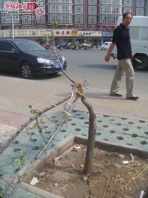 ���ҿڣ�13�þ��^�Ҙ�K����׸ɿ�����