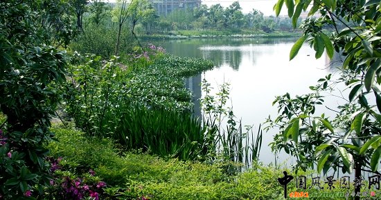 �㽭���_(d��)�@�ֹ������޹�˾