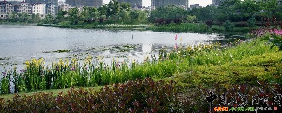 ���ݳǱ��w�����@һ�ڹ���