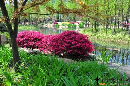 �����������L��Ϫ�������ι����m(x��)���(xi��ng)Ŀ