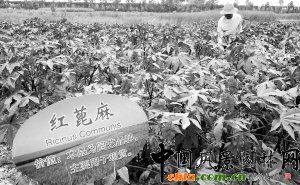 ����Ј@ˇ���������t���������ɹ����D��