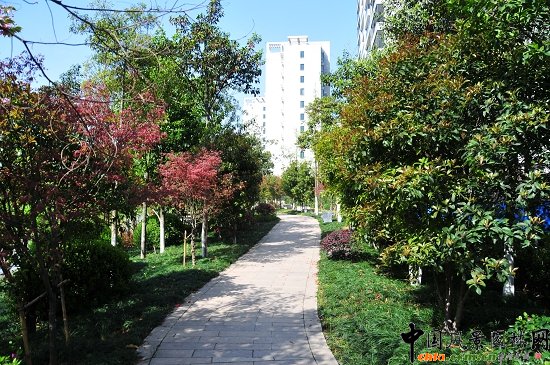 ������ɽ��(������B-�Ͻ���l)�C�����ξG������