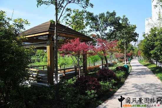 ������ɽ��(������B-�Ͻ���l)�C�����ξG������