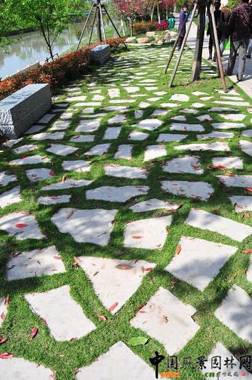 ������ɽ��(������B-�Ͻ���l)�C�����ξG������