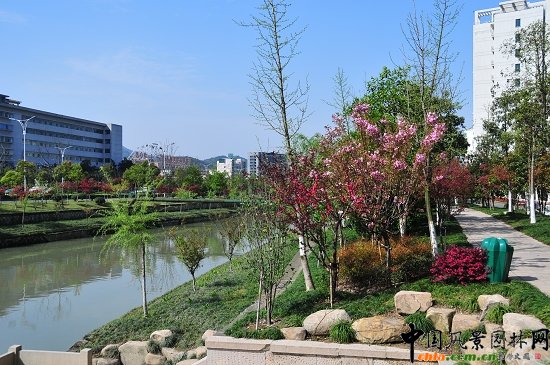 ������ɽ��(������B-�Ͻ���l)�C�����ξG������