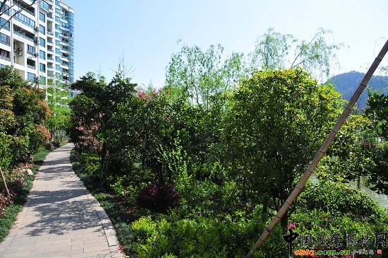 ������ɽ��(������B-�Ͻ���l)�C�����ξG������