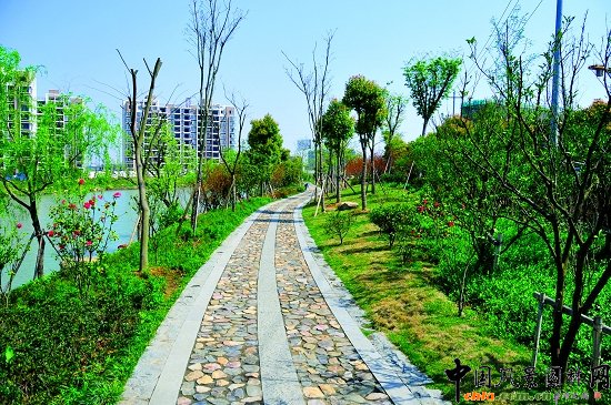 ������ɽ��(������B-�Ͻ���l)�C�����ξG������