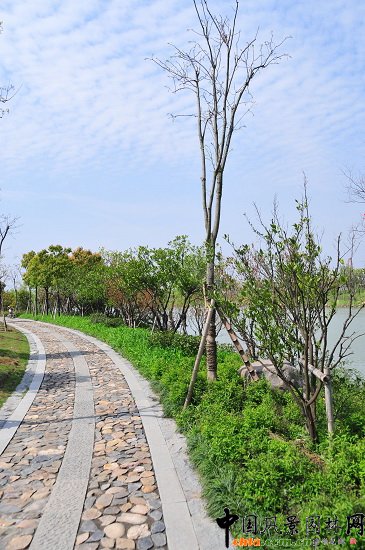 ������ɽ��(������B-�Ͻ���l)�C�����ξG������