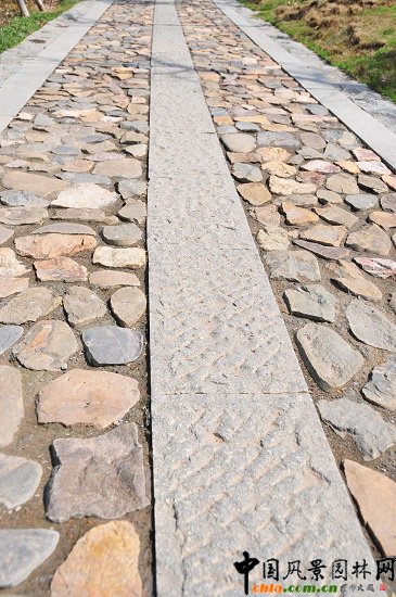 ������ɽ��(������B-�Ͻ���l)�C�����ξG������