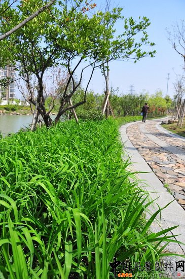 ������ɽ��(������B-�Ͻ���l)�C�����ξG������