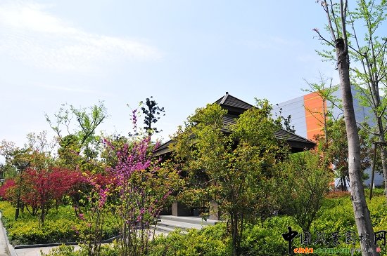 ������ɽ��(������B-�Ͻ���l)�C�����ξG������