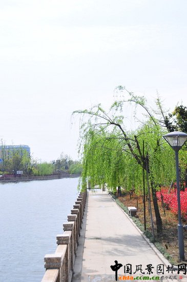 ������ɽ��(������B-�Ͻ���l)�C�����ξG������