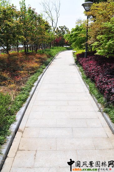 ������ɽ��(������B-�Ͻ���l)�C�����ξG������