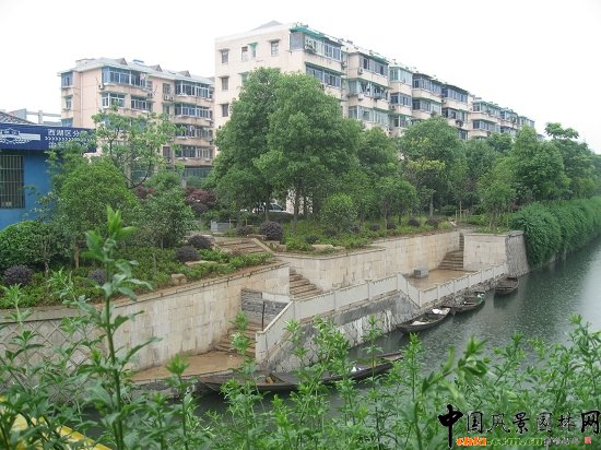 ������ɽ��(��(gu��)����B-�Ͻ���l)�C�����ξG������