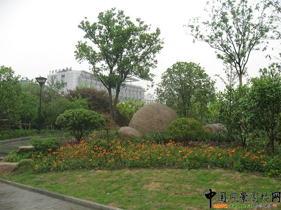 ������ɽ��(������B-�Ͻ���l)�C�����ξG������