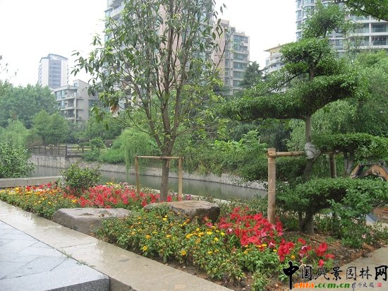 ������ɽ��(������B-�Ͻ���l)�C�����ξG������