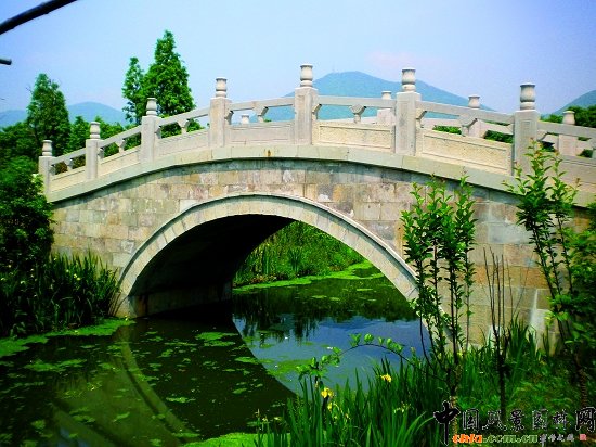 ����������(�@�ǹ�·-�춼��)���^�G������02��