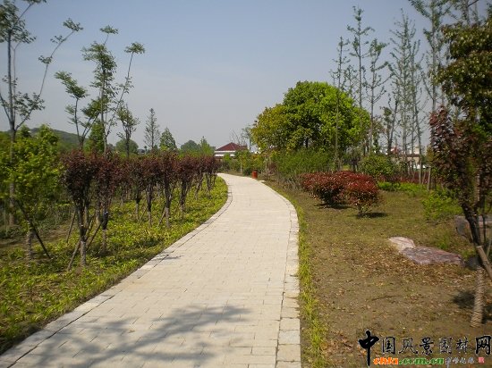 ����������(�@�ǹ�·-�춼��)���^�G������02��