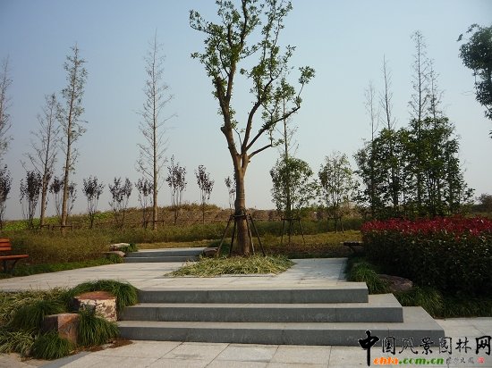 ����������(�@�ǹ�·-�춼��)���^�G������02��