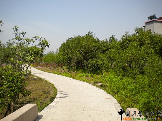 ����������(�@�ǹ�·-�춼��)���^�G������02��(bi��o)