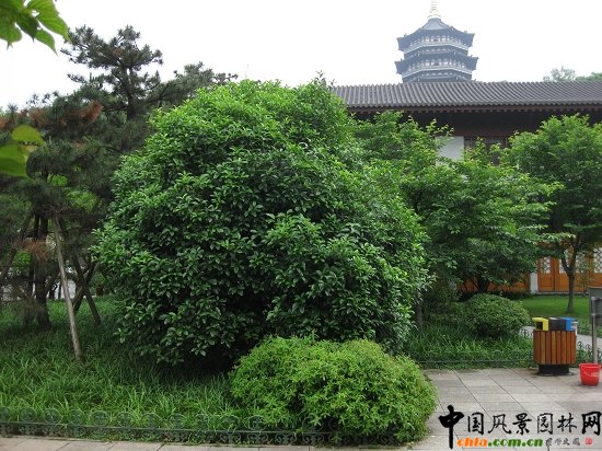 �����׷�Ϧ�ա�������犾��cֲ��䌍�{(di��o)������