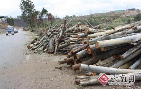 �����½ض̵���䡣