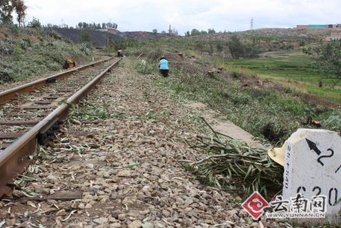 �е��䱻�����F·������·��