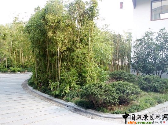 �����\(y��n)�����ǅ^(q��)5A��(j��)���^(q��)��������